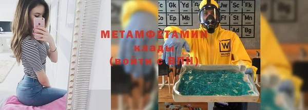 индика Болотное