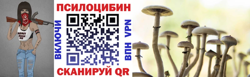 Галлюциногенные грибы Psilocybe  Балахна 