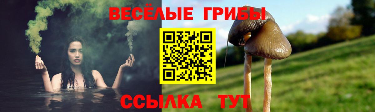 Псилоцибиновые грибы прущие грибы  Вход с VPN  Псилоцибиновые грибы GOLDEN TEACHER  Балахна 